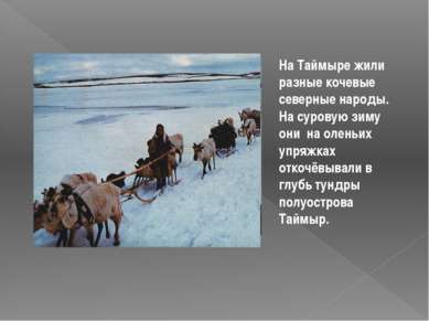 На Таймыре жили разные кочевые северные народы. На суровую зиму они на оленьи...