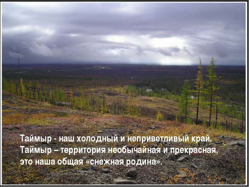 Случилось это весной на таймыре основная мысль. Таймыр. Тундра Западно-сибирской равнины. Тундры на полуострове Таймыр кратко. Особенности Таймыра.