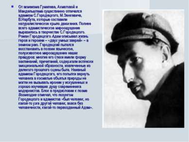 От акмеизма Гумилева, Ахматовой и Мандельштама существенно отличался адамизм ...