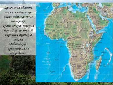 Эфиопская область занимает большую часть африканского материка, кроме севера ...