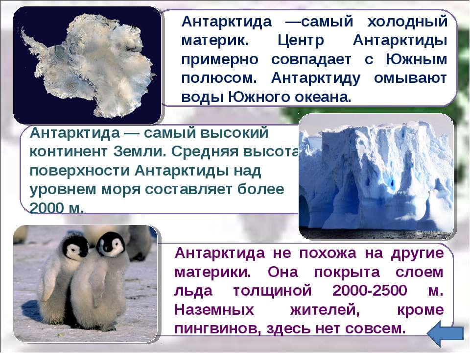 Сколько холодно то. Антарктида доклад. Антарктида (материк). Рассказ про Антарктиду. Антарктида материк доклад.
