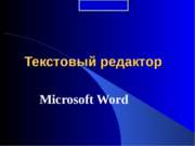 Microsoft Word