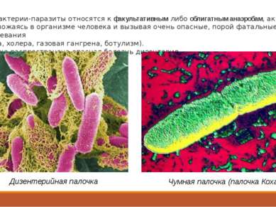 Все бактерии-паразиты относятся к факультативным либо облигатным анаэробам, а...