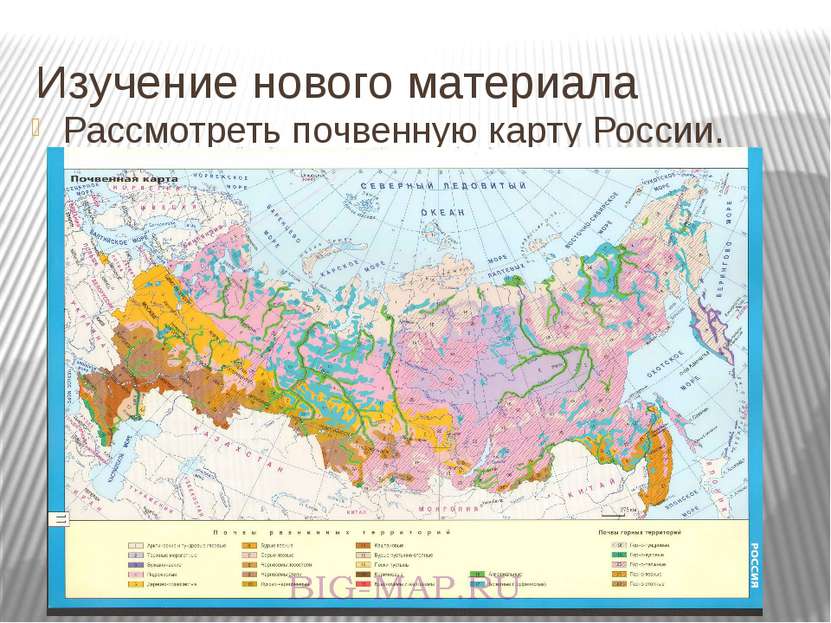 Изучение нового материала Рассмотреть почвенную карту России.