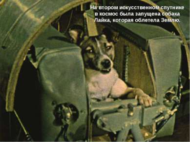 На втором искусственном спутнике в космос была запущена собака Лайка, которая...