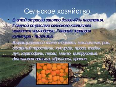 Сельское хозяйство. В этой отрасли занято более 47% населения. Главной отрасл...