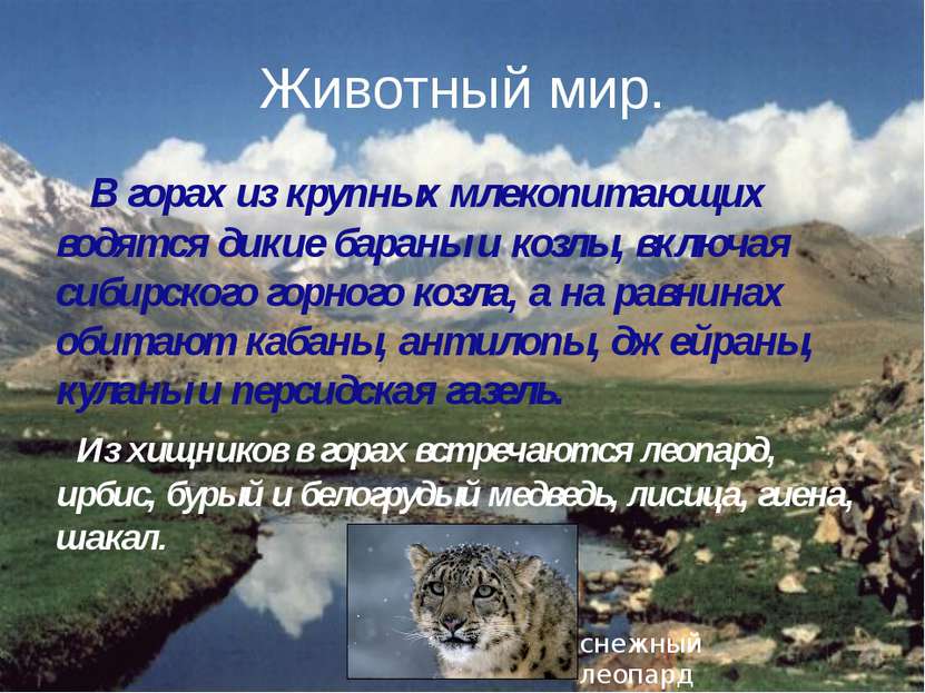 Животный мир. В горах из крупных млекопитающих водятся дикие бараны и козлы, ...