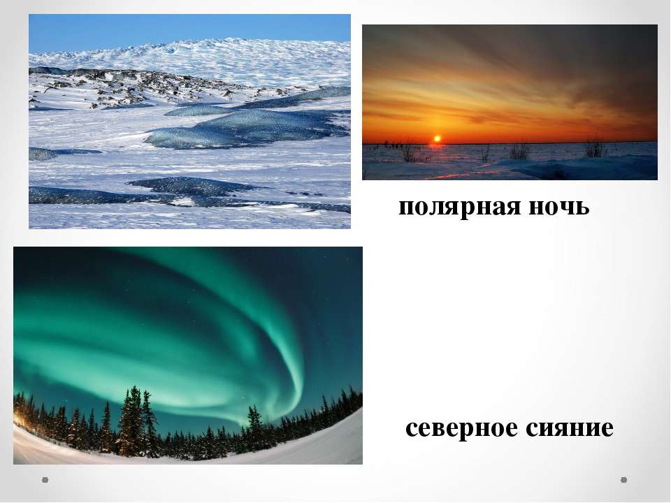 Природа умеренных и полярных поясов