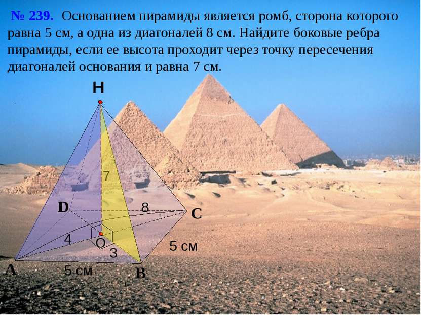 С А В Н № 239. Основанием пирамиды является ромб, сторона которого равна 5 см...