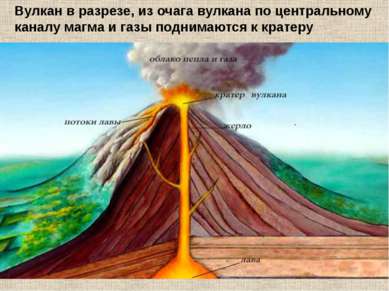 Вулкан в разрезе, из очага вулкана по центральному каналу магма и газы подним...