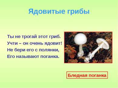 Ядовитые грибы Ты не трогай этот гриб. Учти – он очень ядовит! Не бери его с ...
