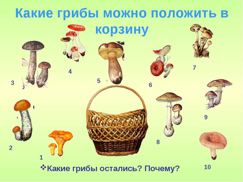 Какие грибы можно положить в корзину Какие грибы остались? Почему? 1 2 3 4 5 ...