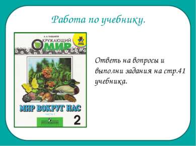 Работа по учебнику. Ответь на вопросы и выполни задания на стр.41 учебника.