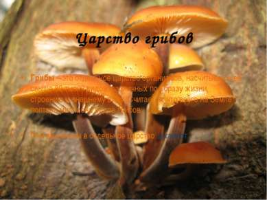 Царство грибов Грибы – это отдельное царство организмов, насчитывающее свыше ...