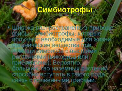 Симбиотрофы Широко распространены в природе грибы - симбиотрофы, которые полу...
