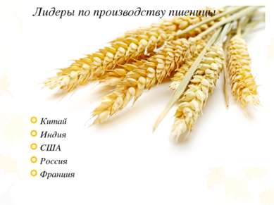 Лидеры по производству пшеницы Китай Индия США Россия Франция