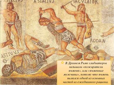 В Древнем Риме гладиаторов называли «пожиратели ячменя», или «ячменные мужчин...
