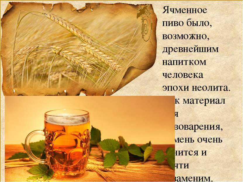Ячменное пиво было, возможно, древнейшим напитком человека эпохи неолита. Как...