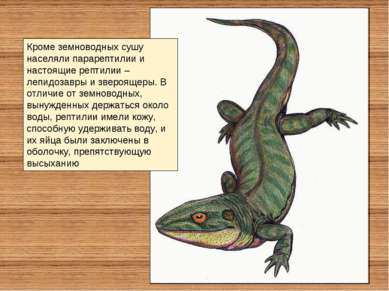 Кроме земноводных сушу населяли парарептилии и настоящие рептилии – лепидозав...