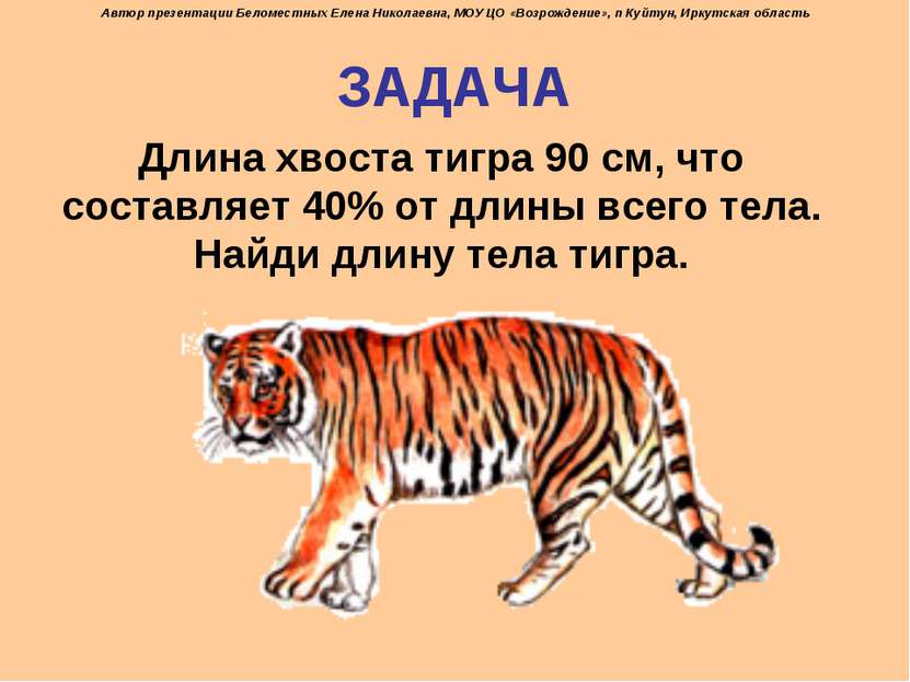 ЗАДАЧА Длина хвоста тигра 90 см, что составляет 40% от длины всего тела. Найд...
