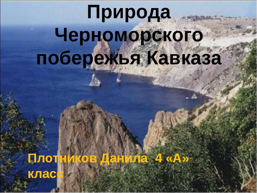 Природа Черноморского побережья Кавказа Плотников Данила 4 «А» класс
