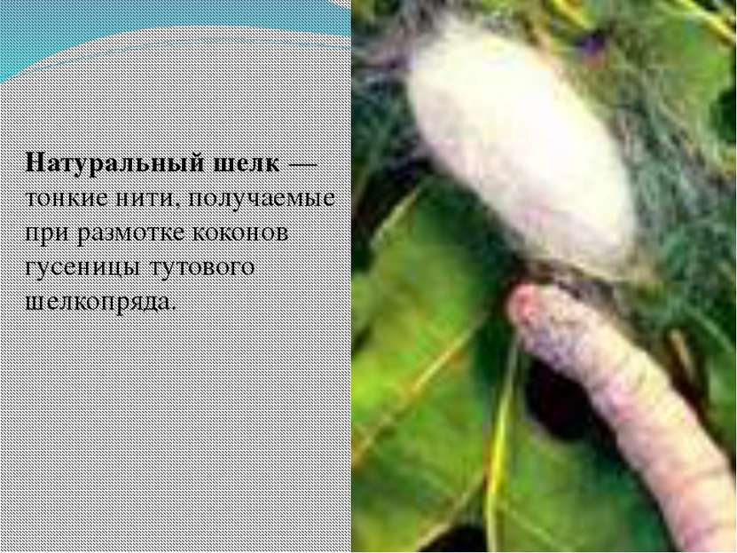 Натуральный шелк — тонкие нити, получаемые при размотке коконов гусеницы туто...