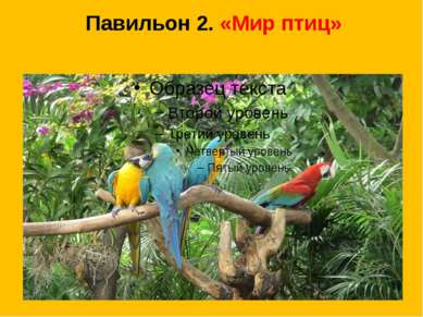 Павильон 2. «Мир птиц»