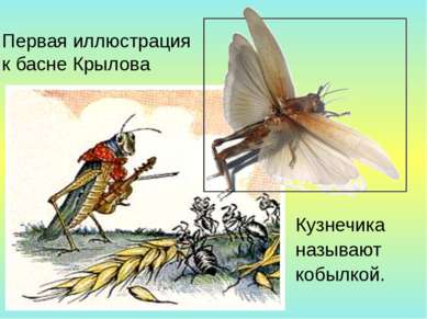 Первая иллюстрация к басне Крылова Кузнечика называют кобылкой.