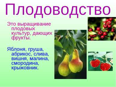 Это выращивание плодовых культур, дающих фрукты. Яблоня, груша, абрикос, слив...