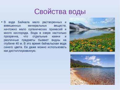 Свойства воды В воде Байкала мало растворенных и взвешенных минеральных вещес...