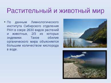 Растительный и животный мир По данным Лимнологического института Сибирского о...