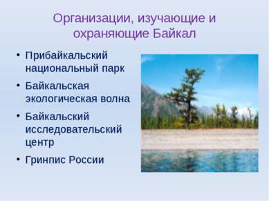 Организации, изучающие и охраняющие Байкал Прибайкальский национальный парк Б...