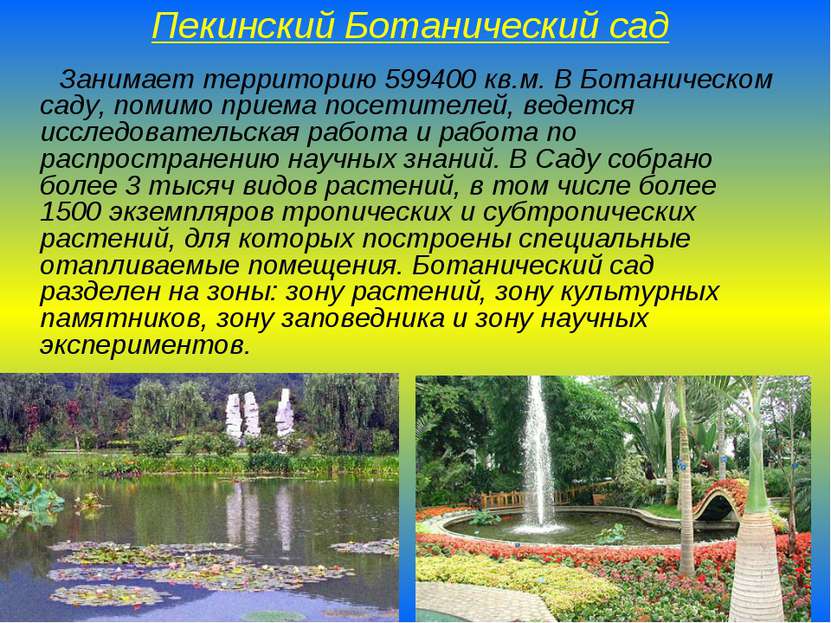 Пекинский Ботанический сад Занимает территорию 599400 кв.м. В Ботаническом са...