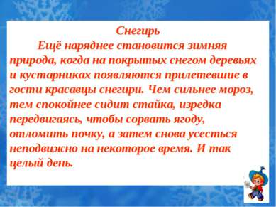 Снегирь Ещё наряднее становится зимняя природа, когда на покрытых снегом дере...