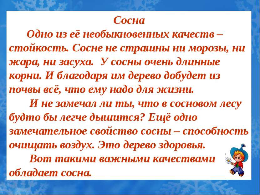 Сосна Одно из её необыкновенных качеств – стойкость. Сосне не страшны ни моро...