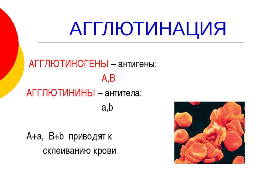АГГЛЮТИНАЦИЯ АГГЛЮТИНОГЕНЫ – антигены: А,В АГГЛЮТИНИНЫ – антитела: a,b А+а, B...