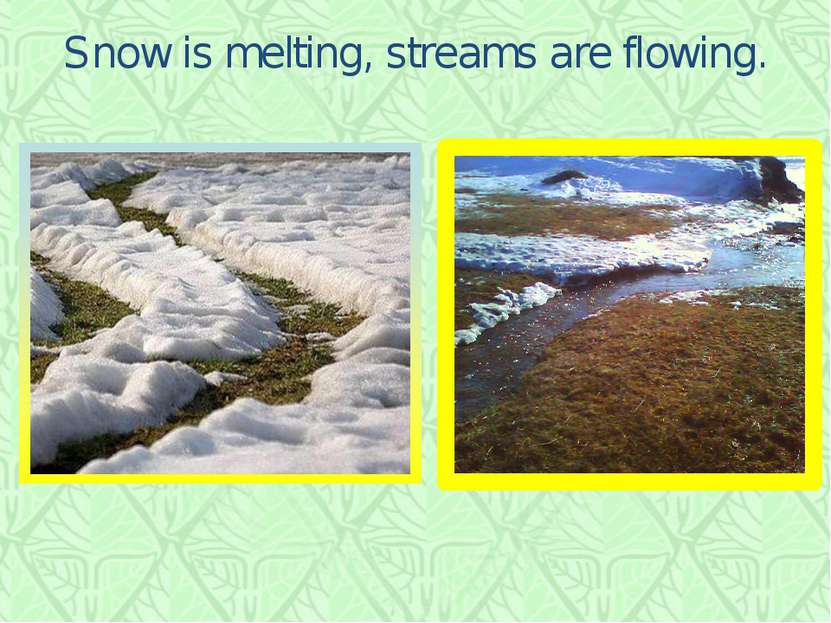 Snow is melting, streams are flowing.
