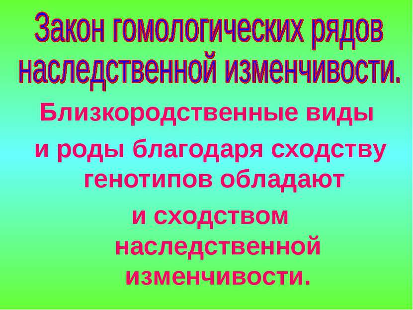 Близкородственные виды и роды благодаря сходству генотипов обладают и сходств...