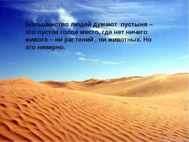 Большинство людей думают пустыня – это пустое голое место, где нет ничего жив...