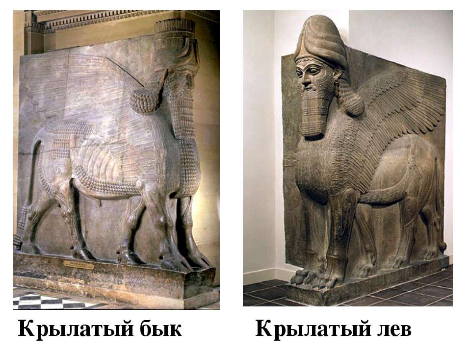 Крылатый бык. Крылатые быки Ассирии. Крылатый Лев Ассирия. Шумеро-аккадская цивилизация крылатый бык. Ассирийский крылатый бык.