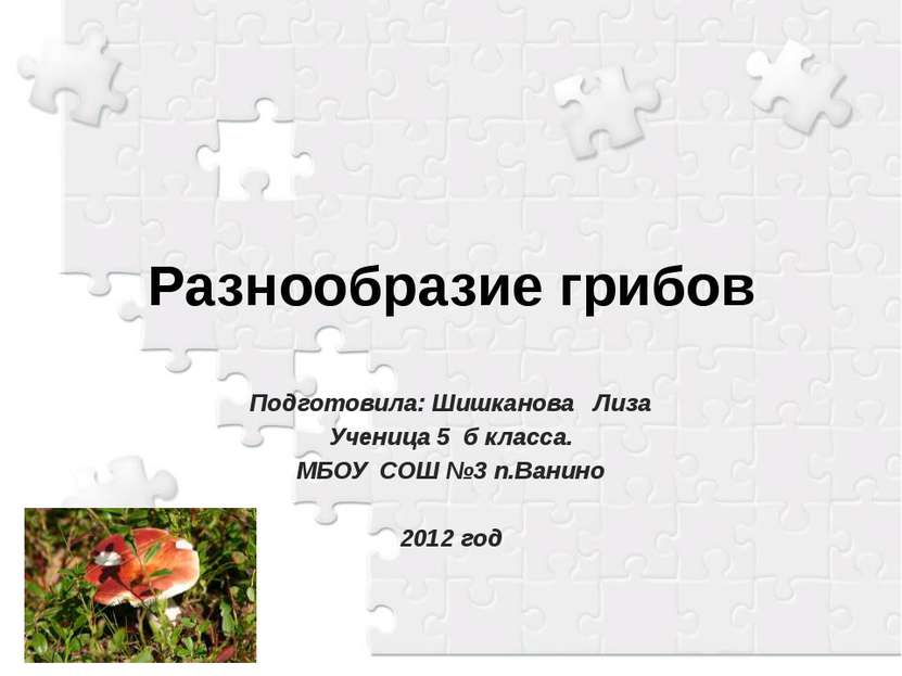 Разнообразие грибов Подготовила: Шишканова Лиза Ученица 5 б класса. МБОУ СОШ ...