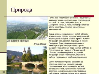Природа Почти всю территорию Боснии и Герцеговины занимают средневысокие горы...