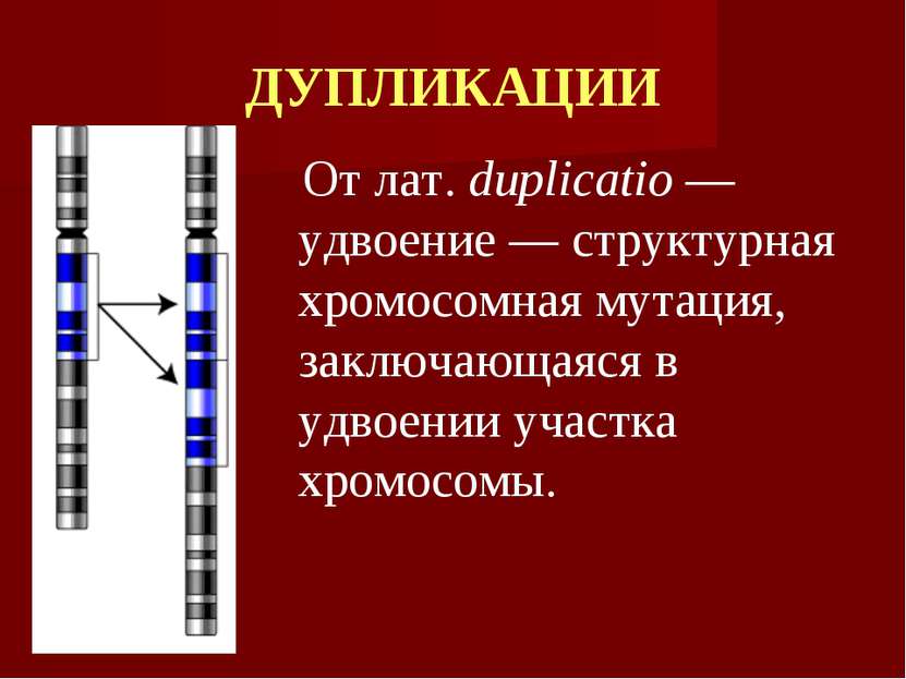 ДУПЛИКАЦИИ От лат. duplicatio — удвоение — структурная хромосомная мутация, з...