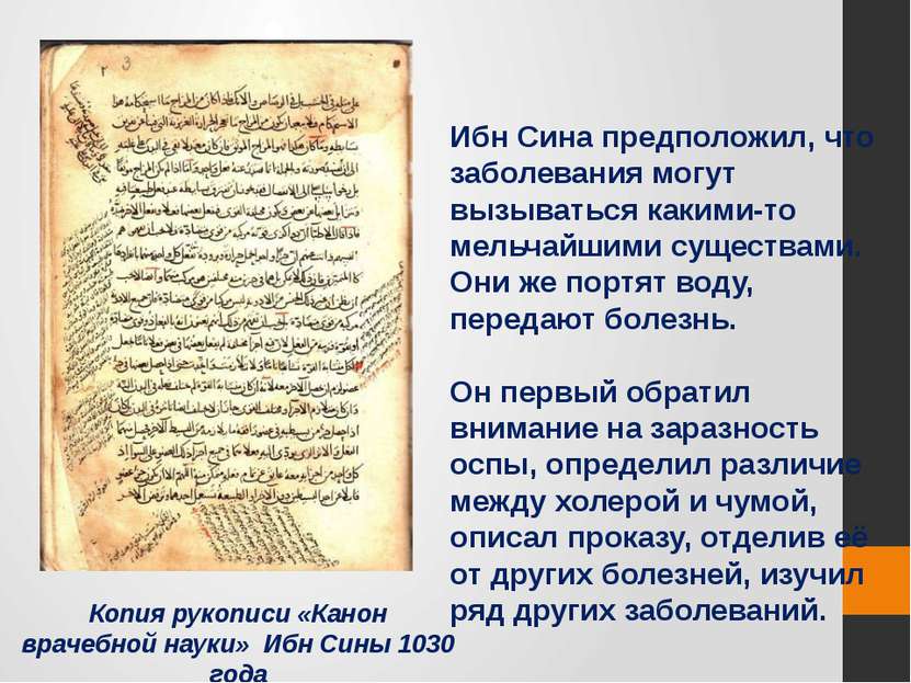 Копия рукописи «Канон врачебной науки» Ибн Сины 1030 года Ибн Сина предположи...