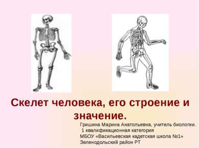 Скелет человека, его строение и значение. Гришина Марина Анатольевна, учитель...
