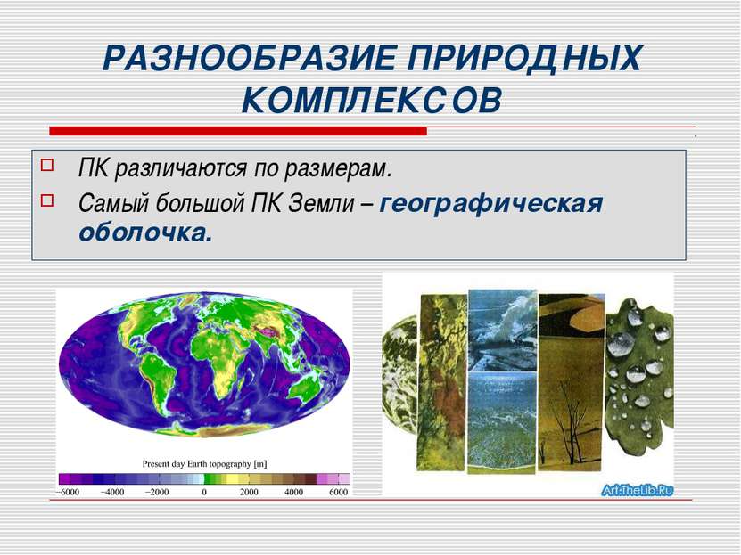 РАЗНООБРАЗИЕ ПРИРОДНЫХ КОМПЛЕКСОВ ПК различаются по размерам. Самый большой П...