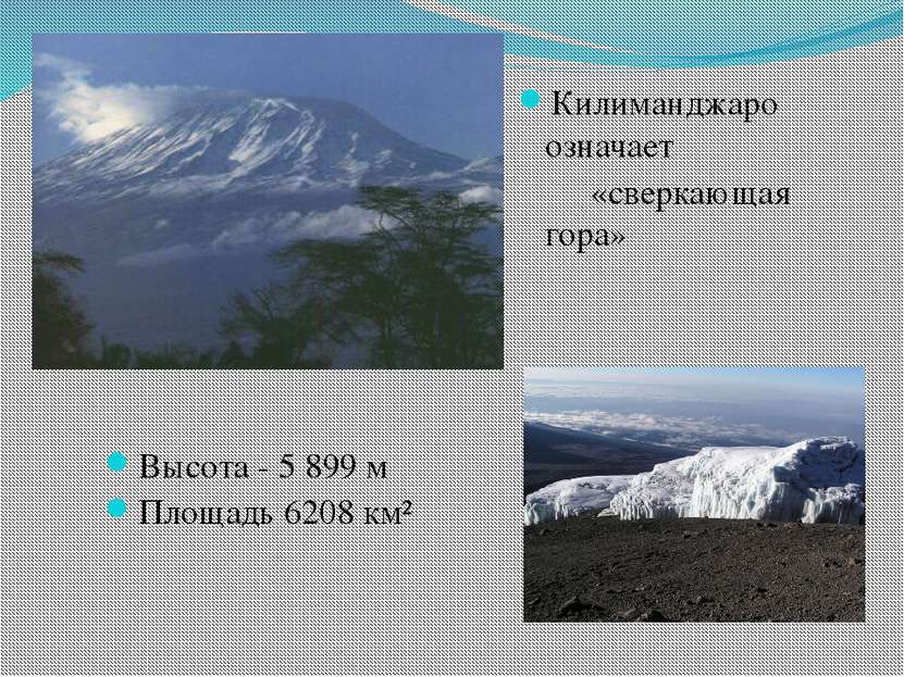 Высота - 5 899 м Площадь 6208 км² Килиманджаро означает «сверкающая гора»