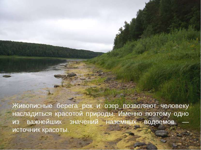 Живописные берега рек и озер позволяют человеку насладиться красотой природы....