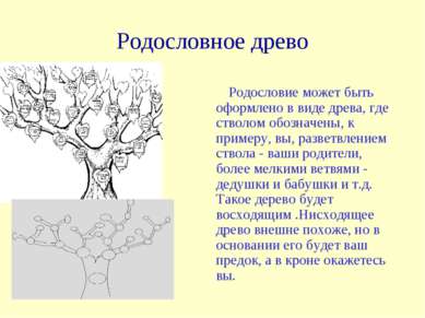 Родословное древо Родословие может быть оформлено в виде древа, где стволом о...