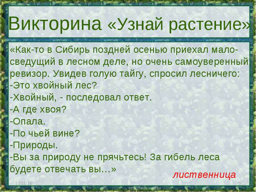 * * Викторина «Узнай растение» «Как-то в Сибирь поздней осенью приехал мало- ...